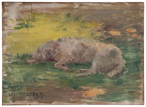 犬