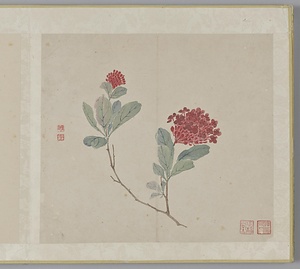 花卉図冊