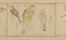 古信／御鷹生地取
