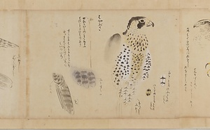 古信／御鷹生地取 