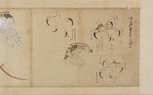 古信／御鷹生地取 