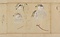古信／御鷹生地取