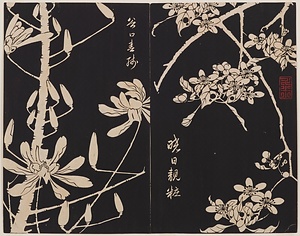 玄圃瑤華 げんぽようか