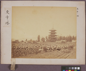 東寺五重塔 壬申検査関係写真