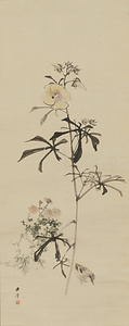 黄蜀葵に雀図