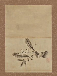 道安／柘榴枇杷図