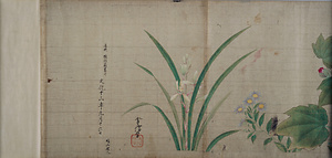 常信／草花図 