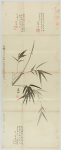 王芾／竹図
