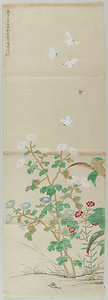 秦士諒／菊蝶図