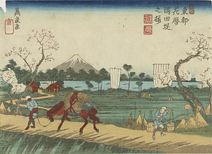 東都花暦・隅田堤之桜