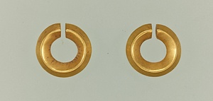 金環
