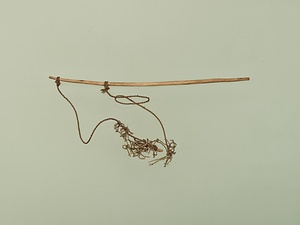 小網