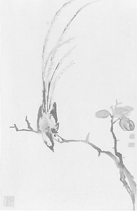 雑画帖 ざつがちょう