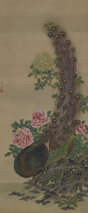 孔雀図