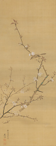 桜花図