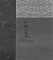 二見ガ浦図