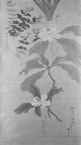 草花図巻