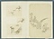 海野家彫金作品拓本20