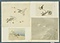 海野家彫金作品拓本20