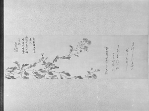 松図 
