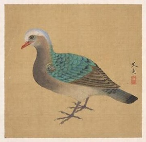 鳩図