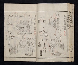 解体新書 かいたいしんしょ