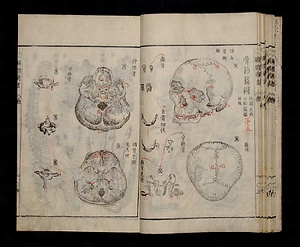 解体新書 かいたいしんしょ