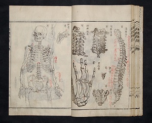 解体新書 かいたいしんしょ