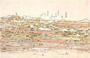 杵築・府内間山水鳥瞰図巻 きつき・ふないかんさんすいちょうかんずかん