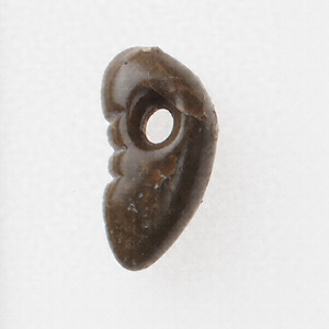 縄文時代の墓の副葬品（常呂川河口遺跡201号土坑） じょうもんじだいのはかのふくそうひん（ところがわかこういせき201ごうどこう）