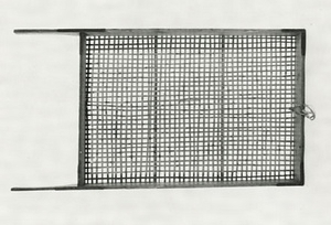 モミトオシ（籾　）