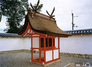 錦織神社　本殿　摂社春日社本殿　摂社天神社本殿 にしごおりじんじゃ　ほんでん　せっしゃかすがしゃほんでん　　せっしゃてんじんしゃほんでん
