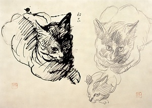 猫