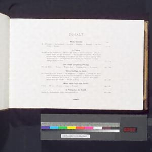 写真で綴る日記／1ページ