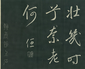 巻菱湖法帖「行書・秋風辞（折帖）」 しゅうふうのじ