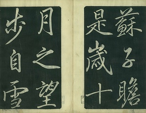 巻菱湖法帖「行書・後赤壁賦（左版 ② 冊子）」    ごせきへきのふ