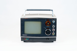 ソニー TRINITRON KV-6010