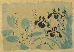 花菖蒲（井のくちの）