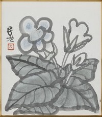 グロキシニア