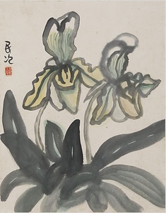 蘭