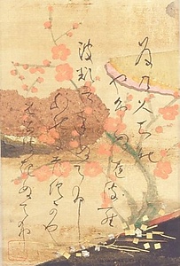 紅梅