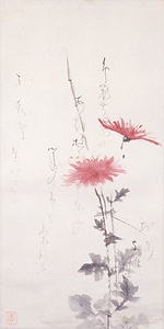 立菊