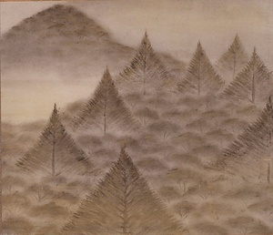 樹林風景