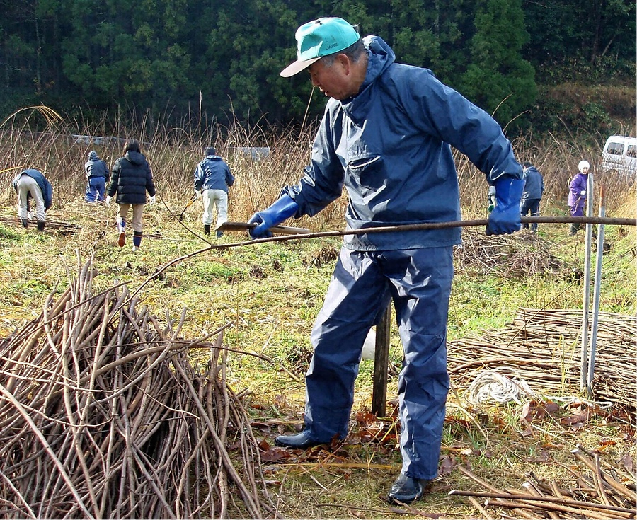 石州半紙 せきしゅうばんし