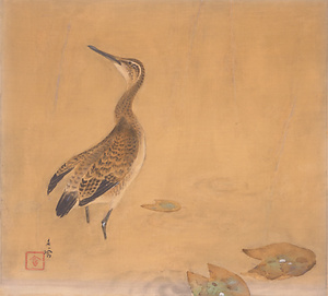 雨滴(晩秋)