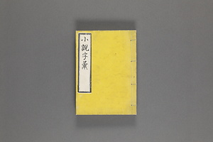 画引 小説字彙