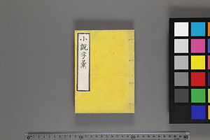 画引 小説字彙 かくひき　しょうせつじい