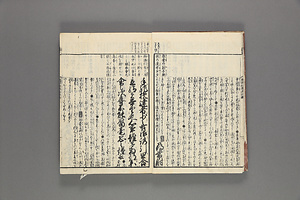 首書読法　庭訓往来具注鈔 しゅしょどくほう ていきんおうらいぐちゅうしょう