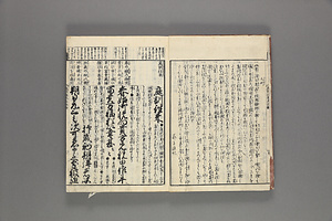 首書読法　庭訓往来具注鈔 しゅしょどくほう ていきんおうらいぐちゅうしょう