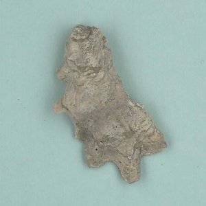 兵庫県産化石一式